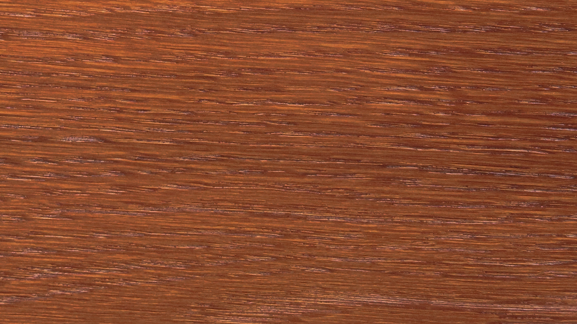 colorwood 15_57b7351d3ece1